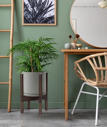 D'vine Dev Ceramic Pot with Walnut Wood Stand, Grey, 8 in, 55-B-Y-3 | Mid-Century Modern Design, Raised Plant Display, Solid Beech Wood Stand, Premium Craftsmanship, Sophisticated Home Decor - color: Grey Pot + Walnut Color Stand, size: 8 Inch