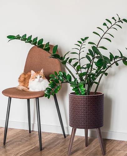 D'vine Dev Planter Pot with Wood Stand, 12 in, Espresso, 88-Z-C-6 | Mid-Century Modern Style, Elevated Plant Display, Drainage Hole and Plug, Functional & Stylish, Modern Indoor Planter - color: Espresso, size: Large
