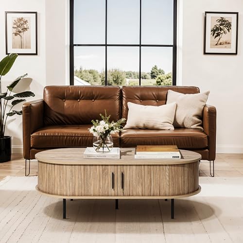 LuxenHome 47" Oval Coffee Table with Storage and Sliding Door | Mid Century Modern Coffee Table for Living Room, Sliding Door Center Table with Hidden Storage Space, Metal Legs
