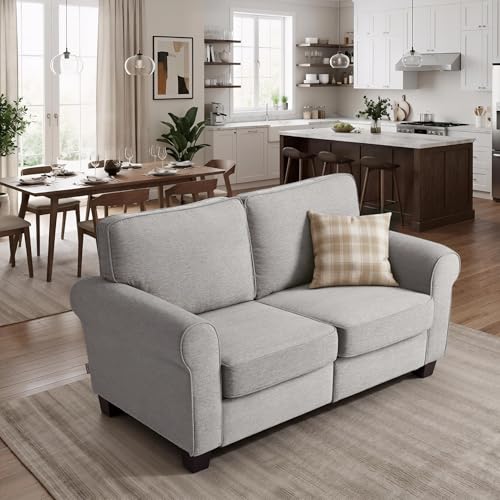 MCombo 67.7" Loveseat Sofa, 2-Seater Small Couch for Small Spaces, Classic Rolled Arm Upholstered Sofa with Solid Wood Legs for Living Room, Removable Cover, Chenille Fabric VE730 (Light Grey) - color: Light Grey