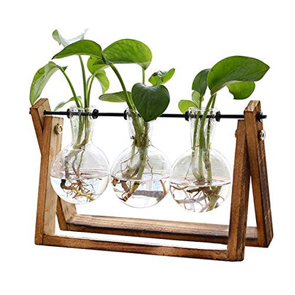 XXXFLOWER Plant Terrarium with Wooden Stand, Air Planter Bulb Glass Vase Metal Swivel Holder Retro Tabletop for Hydroponics Home Garden Office Decoration - 3 Bulb Vase | Air Planter Flower Glass Vase Retro for Hydroponics Cutting Home Garden Office Decora