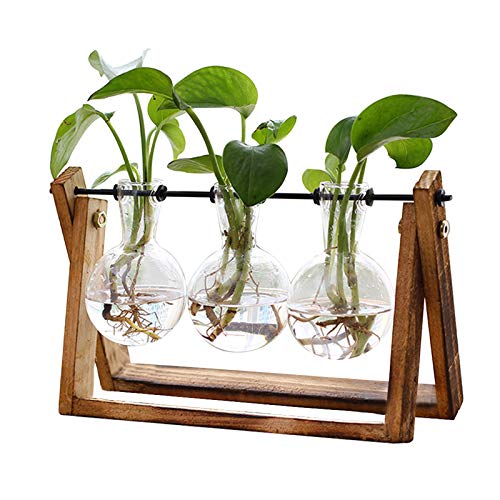 XXXFLOWER Plant Terrarium with Wooden Stand, Air Planter Bulb Glass Vase Metal Swivel Holder Retro Tabletop for Hydroponics Home Garden Office Decoration - 3 Bulb Vase | Air Planter Flower Glass Vase Retro for Hydroponics Cutting Home Garden Office Decora
