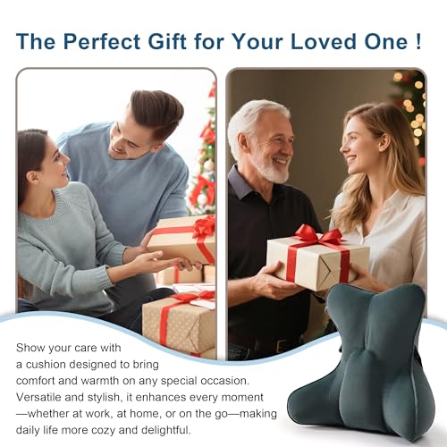 Lumbar Support Pillow(Pat. Pend) for Lower Back Pain Relief – Multi-Functional Ergonomic Lumbar Cushion, Reading Pillow for Office Chair, Car Seat & Sofa,Charcoal Gray - color: Charcoal Gray