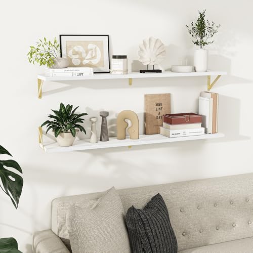 Dreamland Wall Mounted Floating Shelves Set of 2, 48x8, White&Gold | Engineered Wood, Visible Bracket, Large Storage, Hold Up to 70lbs, Living Room, Bathroom, Bedroom, Kitchen - color: White&gold, size: 48"W x 8"D