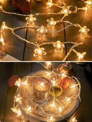 Flower String Lights Plug in, WFGGEH 10ft 20 LED Warm White Cherry Blossom Fairy String Lights for Party Birthday Wedding Christmas Home Decoration