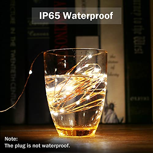 LE LIGHTING EVER String Lights 33ft with 100 LEDs, Waterproof Copper Wire Lights, Outdoor & Indoor Decorative Fairy Lights for Bedroom, Patio, Garden, Party, Wedding, Christmas and More | Warm White 3000K, Thin Copper Wire, Waterproof, Steady-on, Indoor O