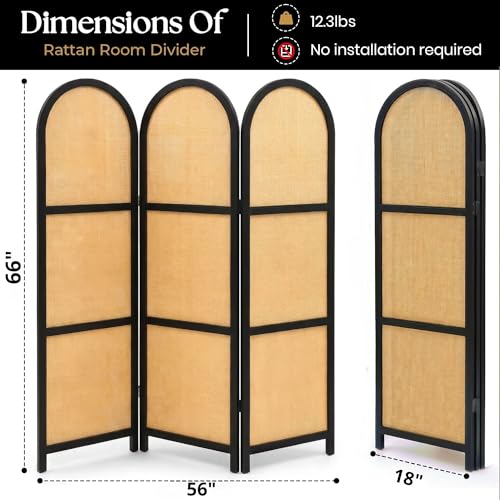 ELK & ELDER 3-Panel Room Divider | Folding Privacy Screen with Arched Dark Wood Frames and Light Woven Panels | Portable Divider for Home,Office, Living Room, Bedroom | 66" H x 56" W |Dark Wood/Beige