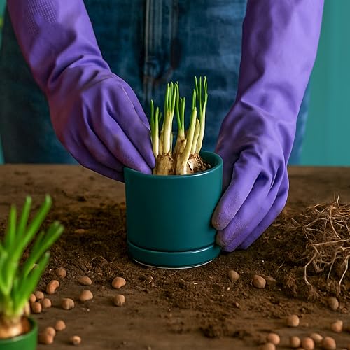 D'vine Dev 2-Pack Ceramic Pots with Saucers, Teal, 3.5 in, 94-V-A-9 | Modern Cylinder Design, Glazed Ceramic, Drainage Hole & Saucer Included, High Temperature Fired, Elegant Home Accent - color: Teal, size: 3.5 Inch
