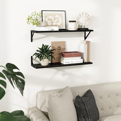 Dreamland Wall Mounted Floating Shelves Set of 2, 30x8, Black | Engineered Wood, Visible Bracket, Large Storage, Hold Up to 50lbs, Living Room, Bathroom, Bedroom, Kitchen - color: Black, size: 30"W x 8"D