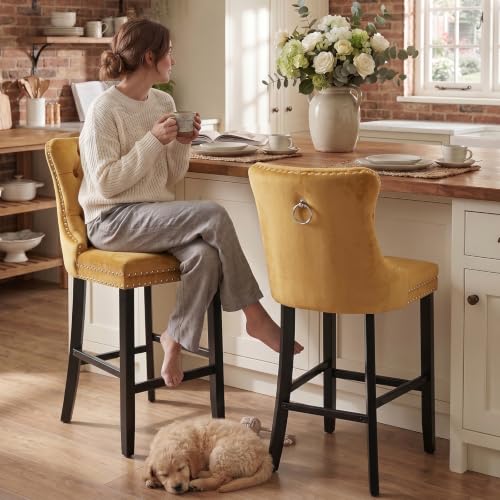 Modern Velvet Upholstered Bar Stools Set of 2 with Wood Legs, Button Tufted,Chrome Nailhead, Counterstool Seat, Armless Bar Chairs (Gold) - color: Gold, size: Set of 2