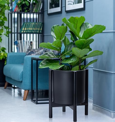D'vine Dev Plastic Pot with Ebony Wood Stand, Black, 12 in, 55-C-Q-2 | Mid-Century Inspired Design, Elevated Plant Display, Clean Lines, Sturdy Support, Modern Space-Saving Style - color: Matte Black Pot + Ebony Stand, size: 12 Inch