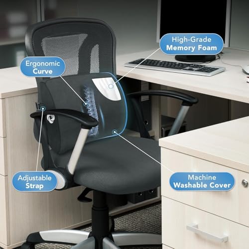 Samsonite Lumbar Support Pillow for Office Chair and Car Seat, Perfectly Balanced Memory Foam, Versatile Use Lower Back Cushion, Black Plush - color: Black Plush