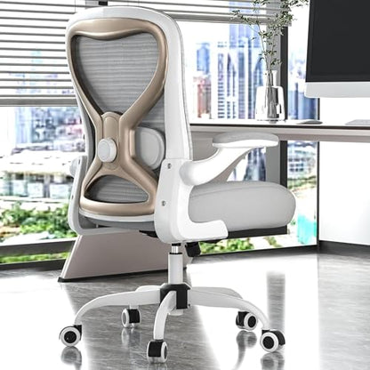Ergonomic Home Office Chair, 4-Way Lumbar, Thick Cushion, 330LBS | Adjustable Lumbar (up/down/in/out), Rocking Mesh Back, Flip-up Arms, Easy Assembly, Ideal for home offices & small workspaces - color: Gray+champagne