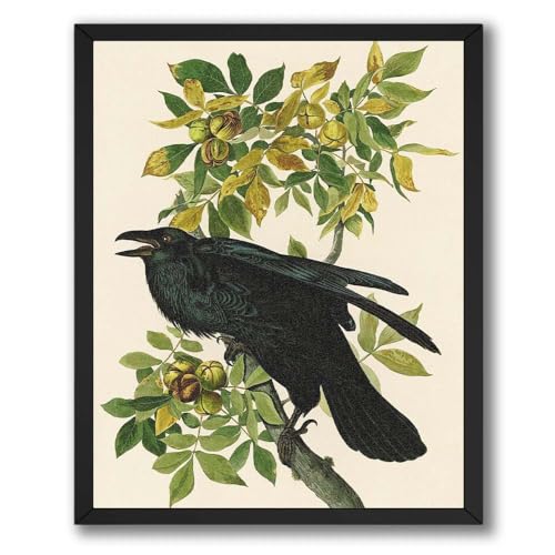 ALPINE INK CO. Vintage Black Bird Botanical Poster - Classic Nature Illustration Wall Art - Traditional Wildlife Branch Artwork for Living Room - 8x10 Unframed Print - color: Style-11, size: 8"L x 10"W
