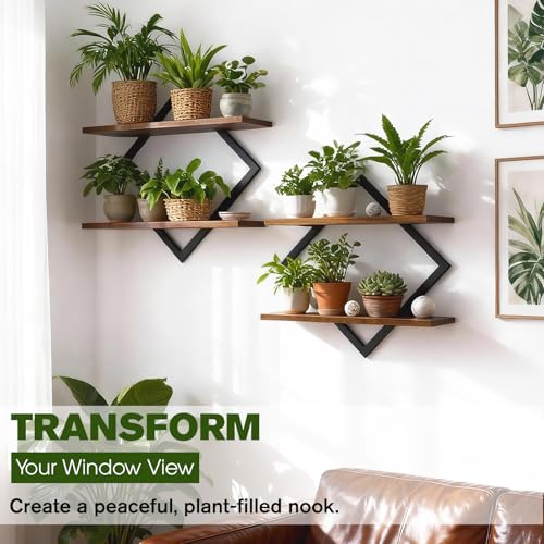 2 Pack Floating Wall Shelves Plant Holders, Brown | For Indoor Plants, Wall Mounted Plant Stand, For Small Plants, Multi-Room Use - color: Rustic Brown-2pack