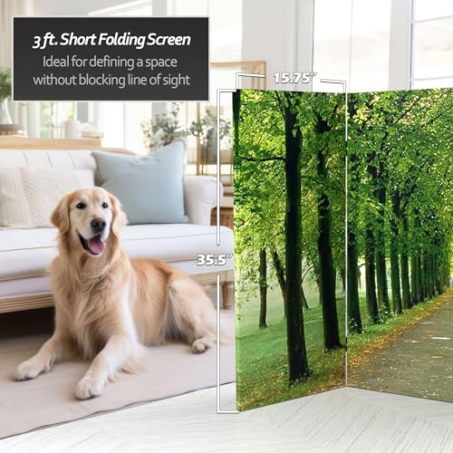 Red Lantern Double Sided Path of Life Canvas Folding Screen, 3 Foot - 4 Panel - size: 3 Foot - 4 Panel