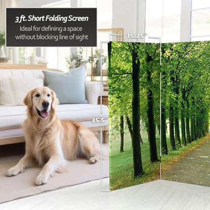 Red Lantern Double Sided Path of Life Canvas Folding Screen, 3 Foot - 4 Panel - size: 3 Foot - 4 Panel