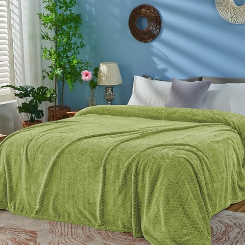inhand Sage Green Fleece Queen Blanket for Bed, Super Soft Flannel Cozy Blankets for Adults, Lightweight Leaves Pattern Fuzzy Blanket for Office,Warm Plush Blankets for All Season, 90x90 Inches - color: Sage Green, size: Full/Queen-90x90 IN