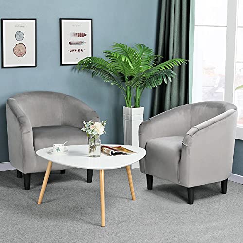Yaheetech Compact Velvet Accent Chairs Set of 2 for Small Spaces, Gray | Compact Cozy Barrel Chairs with a Curved Silhouette, Upholstered Furry Armchair for Small Spaces, Living Room Bedroom Corner - color: Gray (Velvet), style: without Ottoman