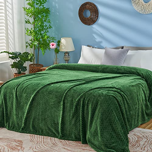 inhand Fleece Queen Blanket for Bed, Super Soft Flannel Cozy Queen Bed Blanket for Adults, Washable Lightweight Fuzzy Bed Blanket for Office, Warm Plush Blankets for All Season (90"×90", Green) - color: A-green, size: Full/Queen-90x90 IN