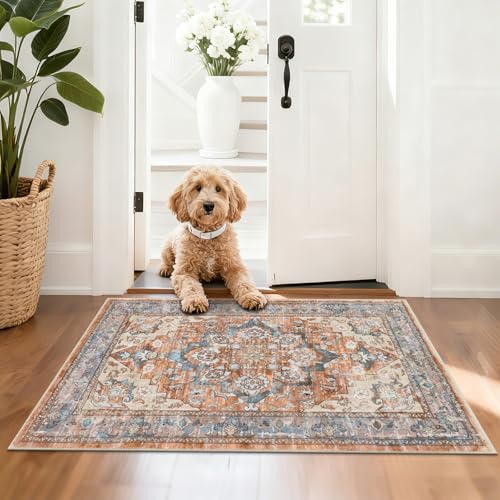 Bsmathom Entryway Rug 2x3 Washable Vintage Soft Floor Mat Non Slip Indoor Entrance Small Rugs Low Pile Area Rug Throw Rugs - color: Brown Red, size: 2' x 3' (Rectangular)