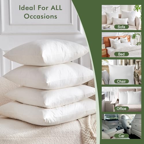 TOPGREEN Feather Down Throw Pillow Inserts 20 x 20, Set of 2, 100% Organic Cotton Shell, Soft Decorative Square Pillows Insert for Living Room Sofa, Couch, or Bed (White) | 100% Organic and Double-Layer Down-Proof Cotton Cover, Ethical-Sourced Feather Dow