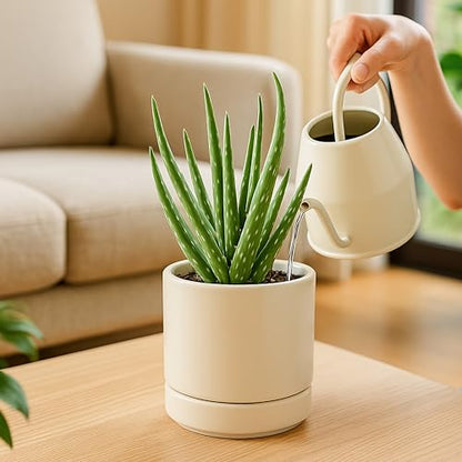 D'vine Dev 2-Pack Ceramic Pots with Saucers, Oatmeal, 4.7 in, 94-V-B-8 | Modern Cylinder Design, Glazed Ceramic, Drainage Hole & Saucer Included, High Temperature Fired, Elegant Home Accent - color: Oatmeal, size: 4.7 Inch