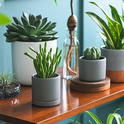 D'vine Dev 2-Pack Ceramic Pots with Saucers, Grey, 3.5 in, 94-V-A-3 | Modern Cylinder Design, Glazed Ceramic, Drainage Hole & Saucer Included, High Temperature Fired, Elegant Home Accent - color: Gray, size: 3.5 Inch
