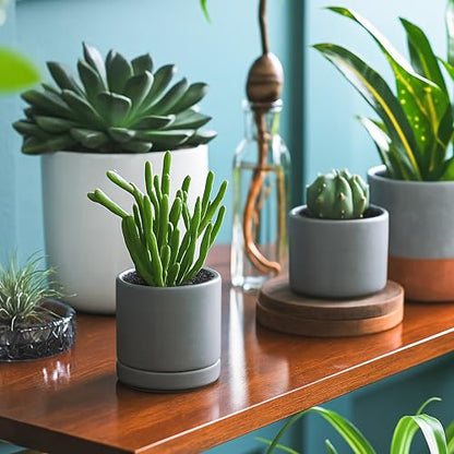 D'vine Dev 2-Pack Ceramic Pots with Saucers, Grey, 3.5 in, 94-V-A-3 | Modern Cylinder Design, Glazed Ceramic, Drainage Hole & Saucer Included, High Temperature Fired, Elegant Home Accent - color: Gray, size: 3.5 Inch