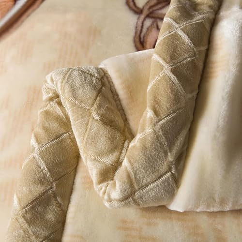 LGYKUMEG Korean Mink Blanket 59"×79", Silky Soft and Warm - 2 Ply Reversible Raschel Throw Blanket 4.4 Lb,Beige and Brown,（150x200cm-2kg - color: Beige and Brown, size: 59x79in/4.4lb