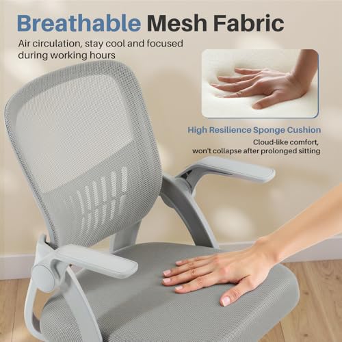 DUMOS Office Chair, Ergonomic Home Desk Chair, Ergonomic Lumbar Support | Height Adjustable, Flip-up Armrest, Rocking Mode, 360 Swivel, Conference Room, Grey - color: Grey Flip Arm