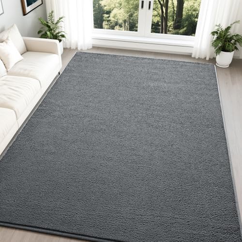 Nuttumico Modern Area Rugs for Bedroom Living Room, 5x7 Feet Dark Grey Rug, Thickened Memory-Foam Indoor Carpet, Minimalist Carpets for Boys Girls, Soft, Non-Slip and Machine-Washable - color: Dark Grey, size: 5' X 7' (Rectangular)
