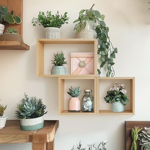 Wall Mount Shelf Set of 3, Floating Cube Shelves for Space Discovery Home and Commercial Use, Large Size Shelves Set, Light Walnut - color: Light Walnut, size: Set3