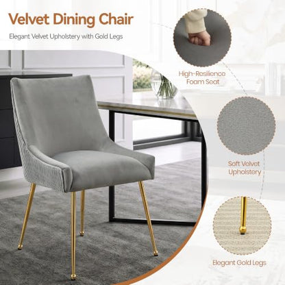 WUTUTUEE Velvet Dining Chairs Set of 6 Gold Legs,Upholstered Velvet Accent Chairs, Pleated Back Design & Gold Pull Handle, Mid Century Modern Chairs for Dining/Kitchen/Living Room,Light Grey - color: Light Grey, size: Set of 6