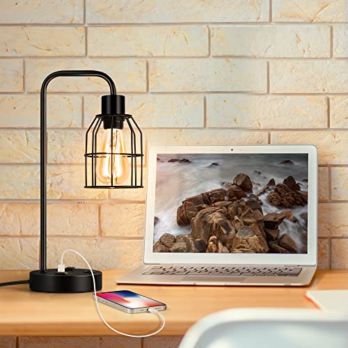 BTY Bedside Lamps Set of 2 Industrial Table Lamp with Dual USB Charging Ports and 2 Prong AC Outlet Farmhouse Nightstand Desk Lamps Edison Lamp with Metal Wire Cage for Bedroom Living Room - size: CAGE 3
