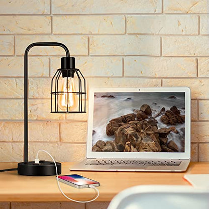 BTY Bedside Lamps Set of 2 Industrial Table Lamp with Dual USB Charging Ports and 2 Prong AC Outlet Farmhouse Nightstand Desk Lamps Edison Lamp with Metal Wire Cage for Bedroom Living Room - size: CAGE 3