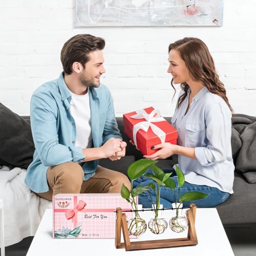 XXXFLOWER Plant Terrarium with Wooden Stand, Air Planter Bulb Glass Vase Metal Swivel Holder Retro Tabletop for Hydroponics Home Garden Office Decoration - 3 Bulb Vase | Air Planter Flower Glass Vase Retro for Hydroponics Cutting Home Garden Office Decora