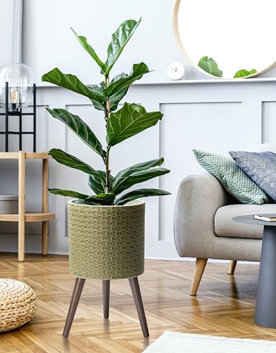 D'vine Dev Planter Pot with Wood Stand, 12 in, Distressed Olive, 88-Z-C-4 | Mid-Century Modern Style, Elevated Plant Display, Drainage Hole and Plug, Functional & Stylish, Modern Indoor Planter - color: Distressed Olive, size: Large