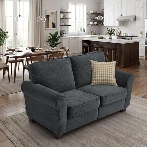 MCombo 67.7" Loveseat Sofa, 2-Seater Small Couch for Small Spaces, Classic Rolled Arm Upholstered Sofa with Solid Wood Legs for Living Room, Removable Cover, Chenille Fabric VE730 (Dark Grey) - color: Dark Grey