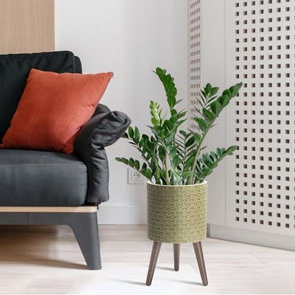 D'vine Dev Planter Pot with Wood Stand, 10 in, Distressed Olive, 88-Z-B-4 | Mid-Century Modern Style, Elevated Plant Display, Drainage Hole and Plug, Functional & Stylish, Modern Indoor Planter - color: Distressed Olive, size: Medium