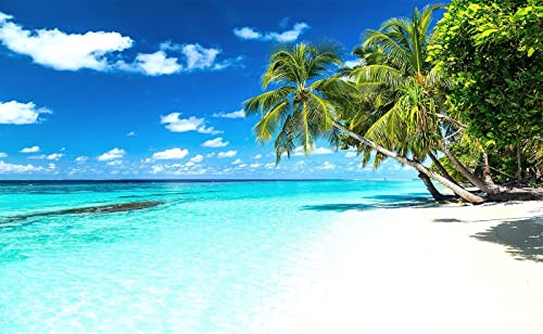Reyhui Palm Tree Wall Mural Tropic Paradise Beach Seascape Murals | 195"x 120" Not Peel and Stick Wallpaper for Walls Bedroom Living Room Kids Room Decoration - color: MURAL-001, size: 195" x 120"