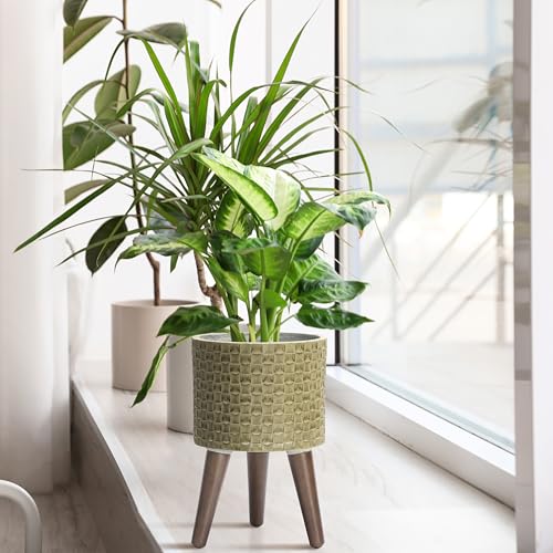 D'vine Dev Planter Pot with Wood Stand, 8 in, Distressed Olive, 88-Z-A-4 | Mid-Century Modern Style, Elevated Plant Display, Drainage Hole and Plug, Functional & Stylish, Modern Indoor Planter - color: Distressed Olive, size: Small