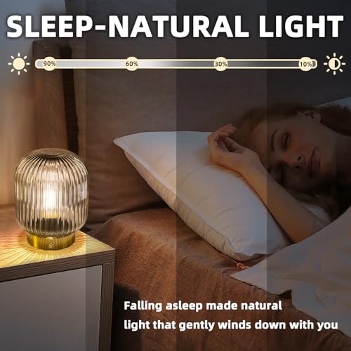 MJ PREMIER Rechargeable Table Lamp, Cordless Lamp with Memory Function,Gray | Small Glass LED Lamp with Dimmable Brightness, Decorative Touch Lamps for Bedroom Living Room