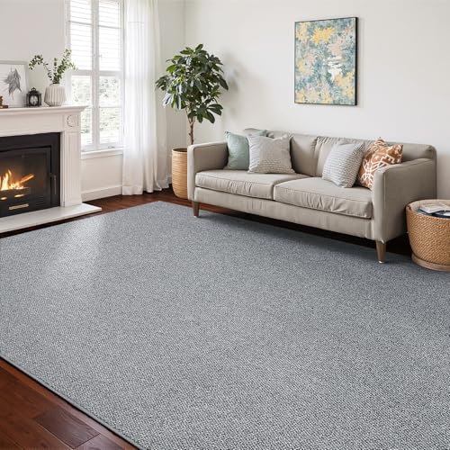 CHAMPLANT Washable Area Rug 4x6 Feet Grey Non Slip Living Room Kitchen Rugs Indoor Entryway Rug Floor Carpet for Dining Living Room Bedroom - color: Grey, size: 4' x 6' (Rectangular)