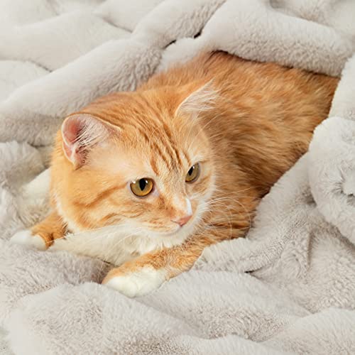 Cozy Bliss Deluxe Sheared Rabbit Faux Fur Throw Blanket, Soft Fuzzy High-Low Sculpted Plush Blanket for Couch, Cozy Home Accent, All Season Use, Beige 60"x80" - color: Stripe - Beige, size: Twin(60" x 80")