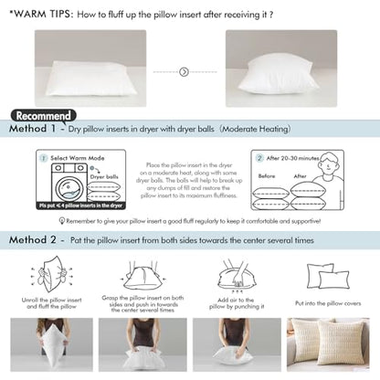 MIULEE 12x12 Throw Pillows Inserts 2 Pack, Decorative Pillows for Couch Bed | 100% Virgin Filling, Full and Fluffy, Lumbar, Back and Neck Support - size: 12x12 Inch