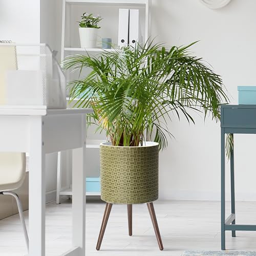 D'vine Dev Planter Pot with Wood Stand, 14 in, Distressed Olive, 88-Z-D-4 | Mid-Century Modern Style, Elevated Plant Display, Drainage Hole and Plug, Functional & Stylish, Modern Indoor Planter - color: Distressed Olive, size: X-Large
