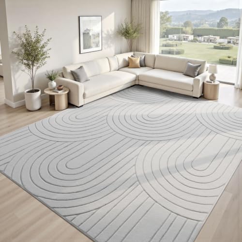 Sour Lemon 8x10 Area Rugs for Living Room Bedroom, Washable Rug Grey | Machine Carpet Modern Non-Slip, Soft Large Fluffy Plush Thick, Big, Geometric High-Low Pile Nersy Rug for Kids Dining Room - color: Light Grey, size: 8' x 10' (Rectangular)