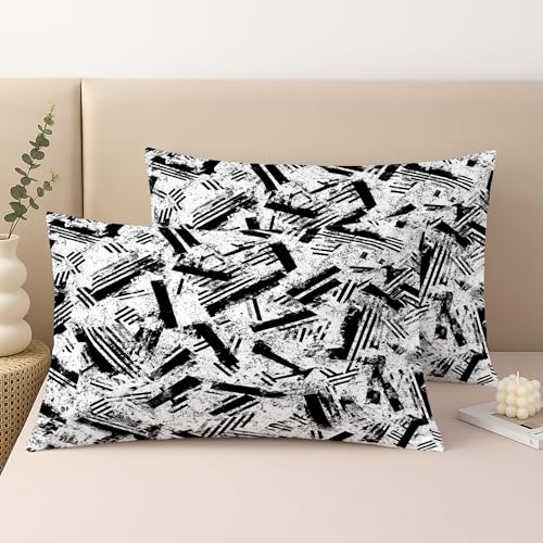 Stripes Throw Pillow Covers Set of 2, Modern Abstract Brush Patterns Texture None Black Soft Velvet Washable Cover Decorative Pillows for Living Room Bed Office Sofa Chair Decor 20x12 Inch - size: 20" x 12" (Pack of 2)