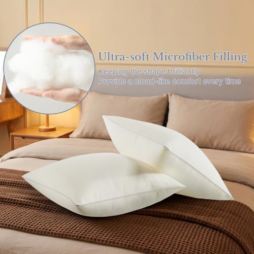 Leeden 20 x 20 Throw Pillow Inserts Set of 2 Pillow Forms for Sofa | Soft polyester fill with durable piping, perfect for sofa, bed and chair pillow covers with lasting comfort and support. - size: 20x20 Inch (Pack of 2)